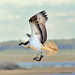 Bryan Hunt Photo 41
