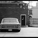 Neal Cox Photo 24