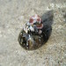 Ann Shell Photo 9