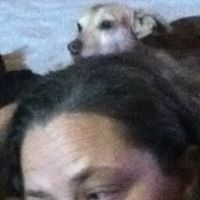 Lisa Brady Photo 39