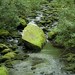 Joyce Moss Photo 13