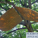 Joyce Mcdaniel Photo 16