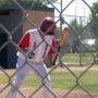Robert Forte Photo 39