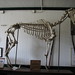 Allen French Photo 12