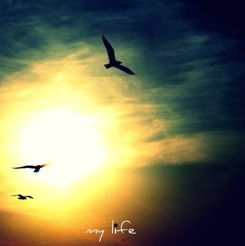 Muhammed Mustafa Photo 4