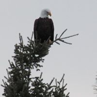Kenneth Cosgrove Photo 3