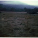 Stewart Fielding Photo 1