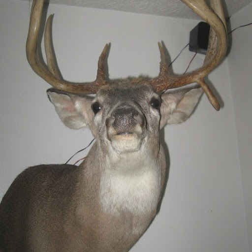 Donald Horton Photo 23