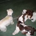 Susie Wiley Photo 16