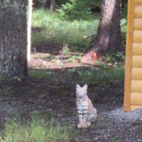 Denise Puckett Photo 18
