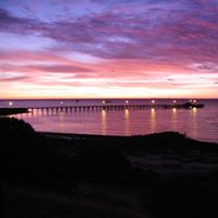 Sue Halliday Photo 12