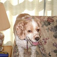 Betty Peters Photo 15