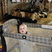 Sharon Goodman Photo 9