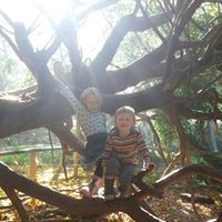 Andrea Tripp Photo 9