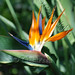 Janet Paradise Photo 11