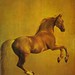 George Stubbs Photo 14