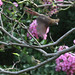 Debra Cardinal Photo 13
