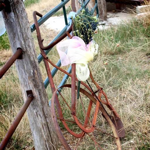 Debra Dill Photo 6