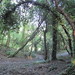 Autumn Pickering Photo 5