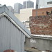 David Nunn Photo 37