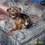 Debbie Joyner Photo 19