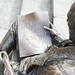 Thomas Chamberlain Photo 16