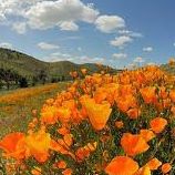 Debra Randall Photo 8