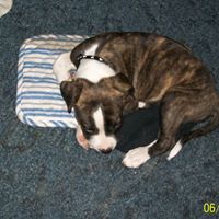 Kathleen Molino Photo 2