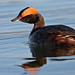 David Grebe Photo 16