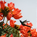 Linda Conway Photo 16