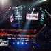 Shannon Briggs Photo 26