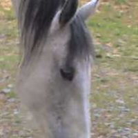 Deborah Jennings Photo 32