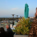 Suzanne Erwin Photo 11