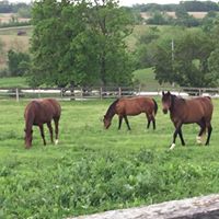 Susan Leatherman Photo 9