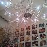 Jennifer Graebe Photo 4