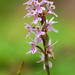Julian Heath Photo 10