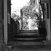 Emily Robins Photo 24
