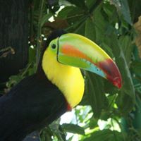 Eugene Varela Photo 2