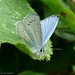 Holly Grantham Photo 9