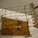 Jill Walker Photo 15