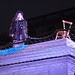 Patricia Hickey Photo 39
