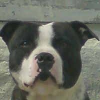 Doug Cash Photo 14