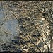 Eric Palumbo Photo 10