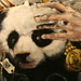 Rudolph Felipe Photo 2