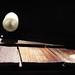 Richard Forman Photo 39