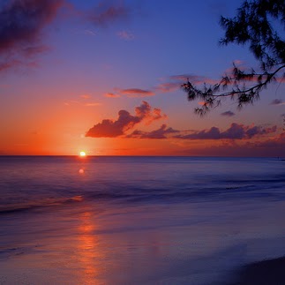 Aruna Patel Photo 22