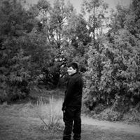 Debra Huddleston Photo 6