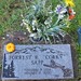 Dorothy Sapp Photo 11