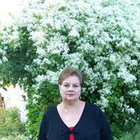 Karen Phelps Photo 12