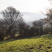 John Brien Photo 20